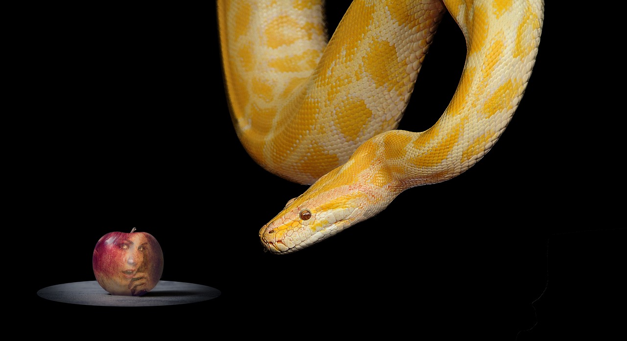 Serpent and apple